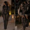 Eclipse sheer gown