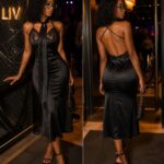 Sleek whisper dress