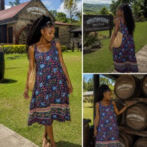 Zara dress